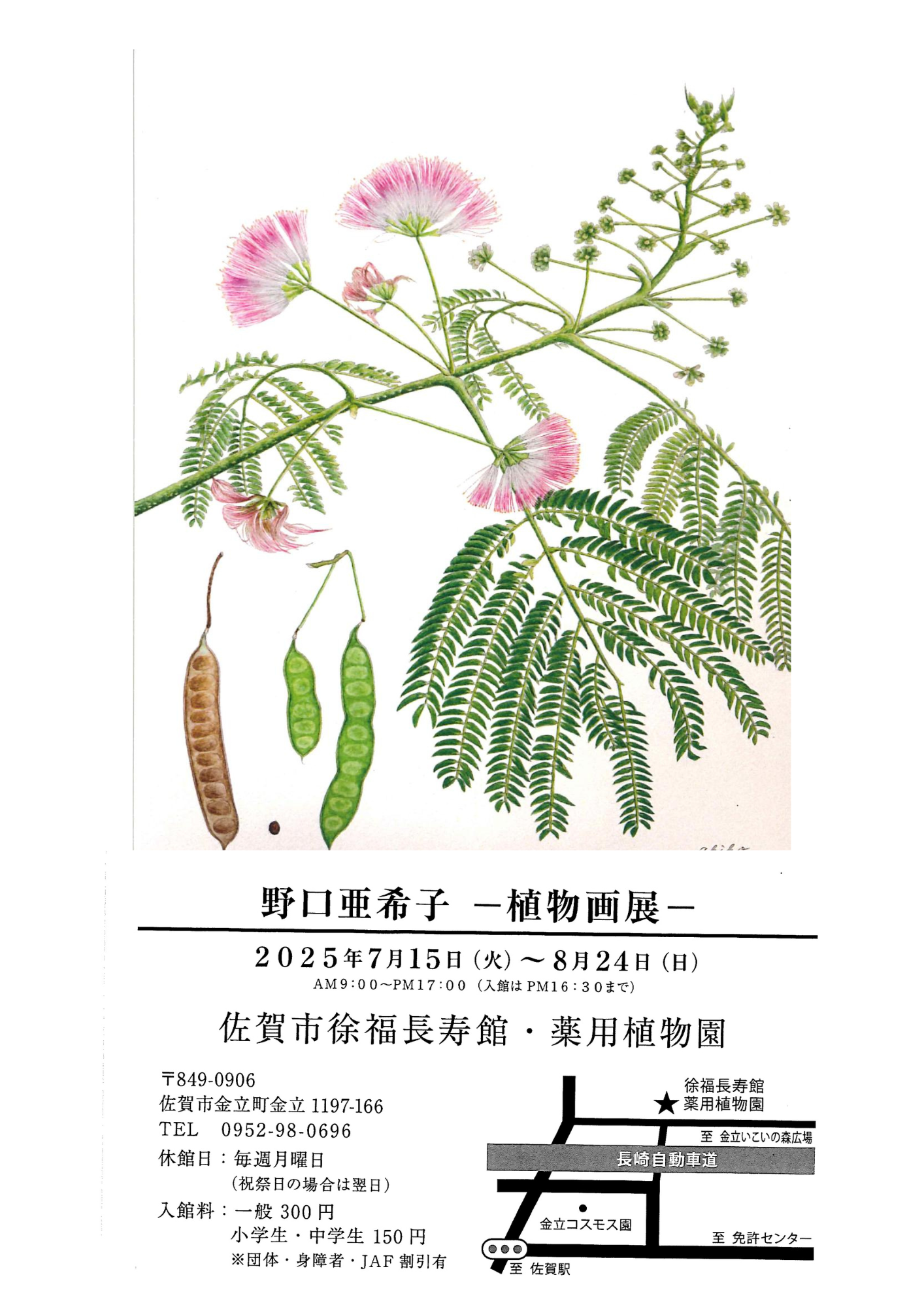 野口亜希子ー植物画展ーの画像