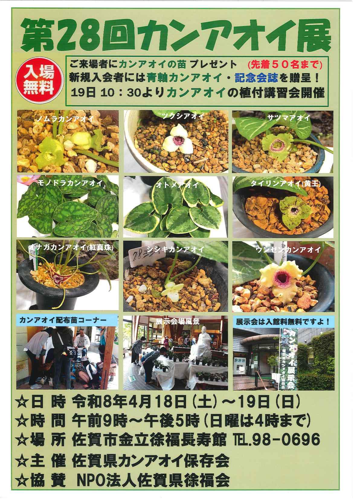 第28回カンアオイ展の画像