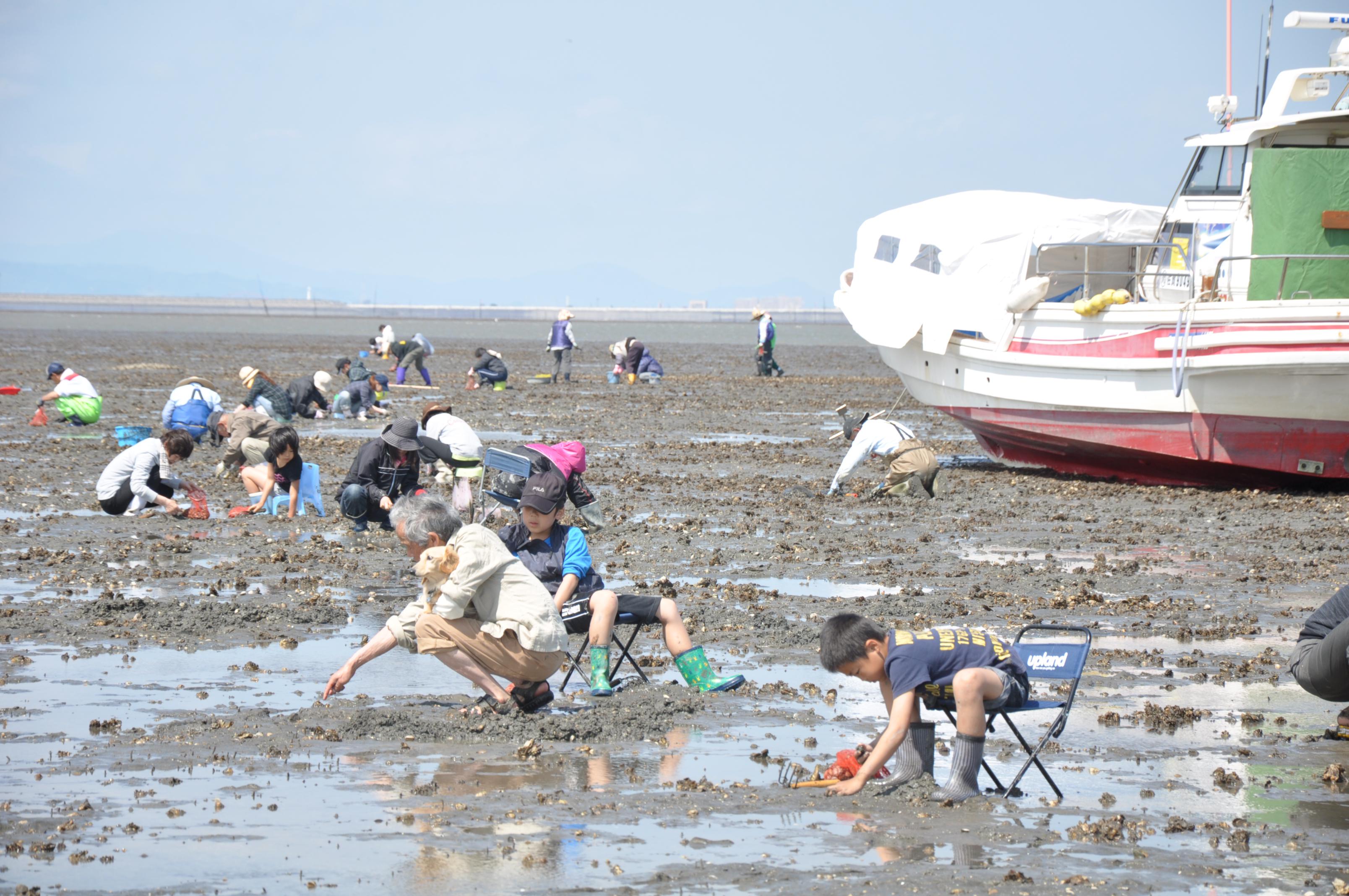令和８年度川副町観光潮干狩りの画像