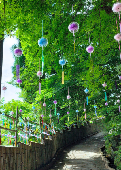 十可苑「青紅葉と風鈴まつり」（2026）の画像