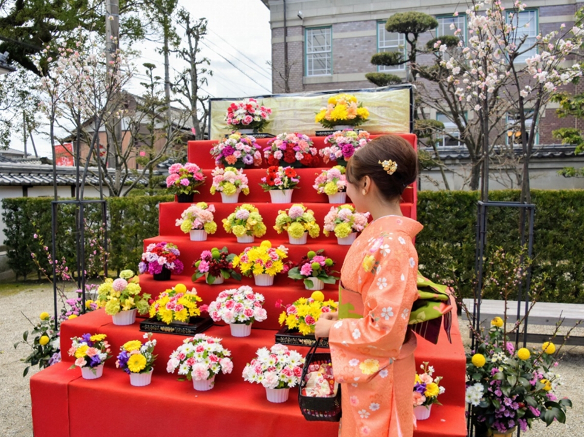 佐賀 城下 ひなまつり 販売済み 着物