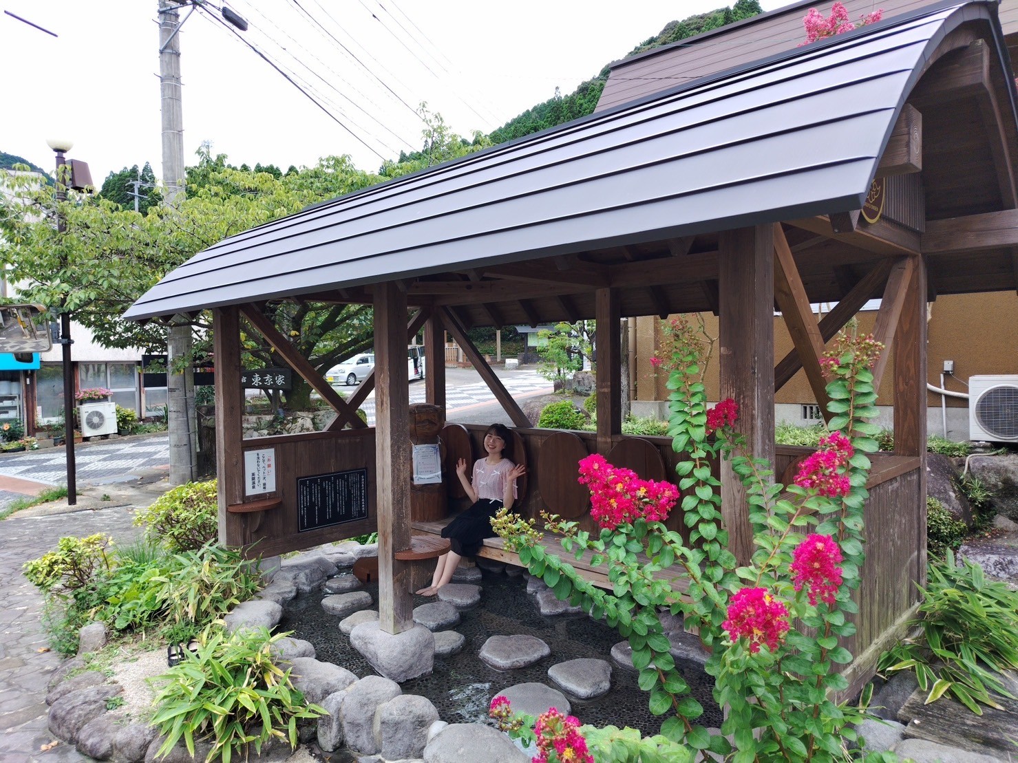 花が咲いている庭中程度の精度で自動的に生成された説明