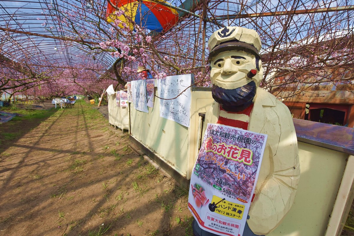 佐賀大和観光桃園 観光情報 佐賀市観光協会公式ポータルサイト サガバイドットコム Sagabai Com