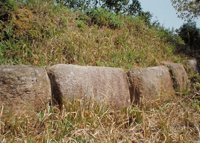 帯隈山神籠石（こうごういし）